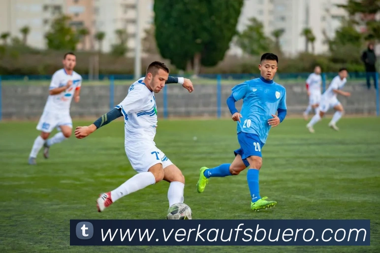 赛事专题整合